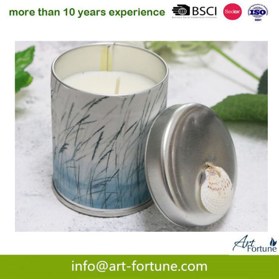 White Fig Travel Tin Candle for Home Decor