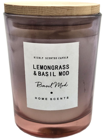 Lemongrass & Basil Mod Funny and Sassy Decorative Candles 5oz