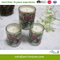 3pk Scented Glass Candle with Full Wrap Decal in PVC Box