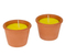 6-10oz Customized Outdoor Flower Pot Candles for Lighting