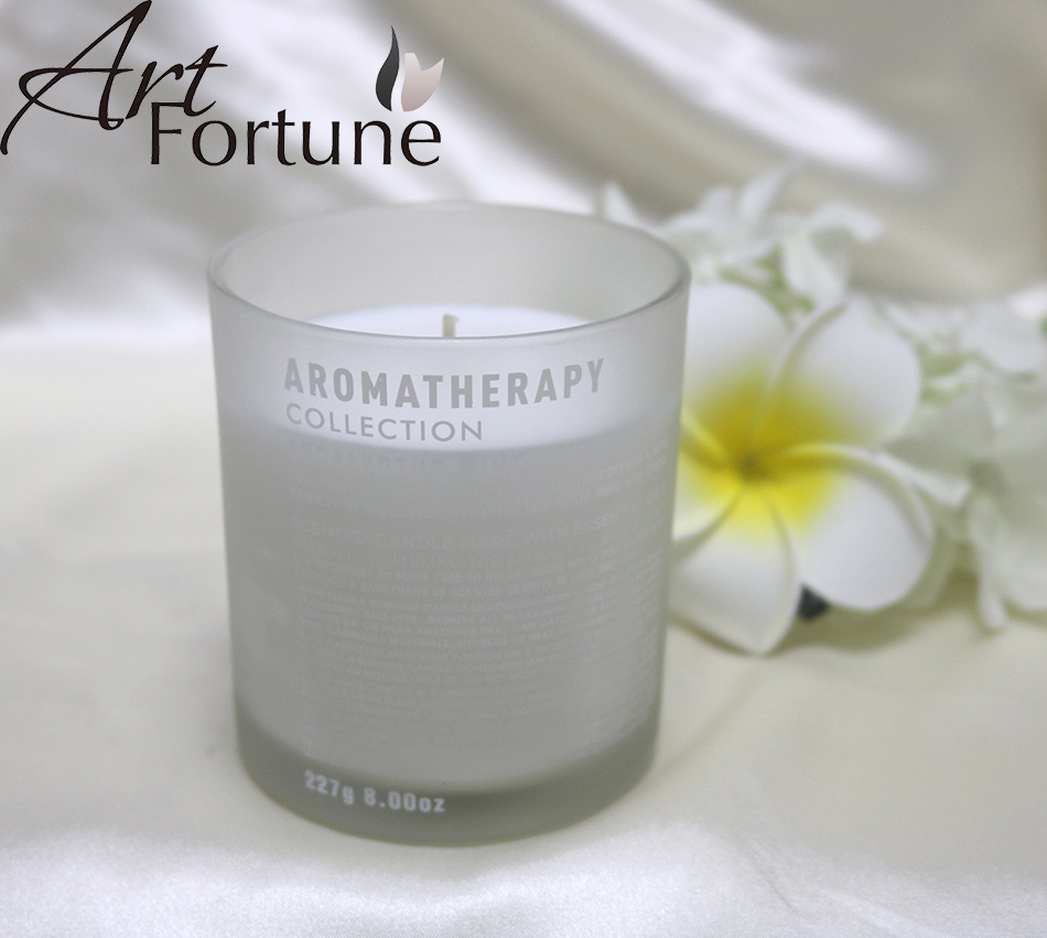 6.5ozfrosting Effect Aromatherapy Natural Soy Scented Candles for Home Decor